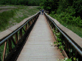 Walkway to Cash Lake Summer Trail