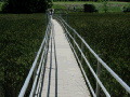 Pontoon walkway