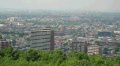 Montréal Skyline from Mount Royal Overlook