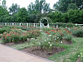 Gladney Rose Garden