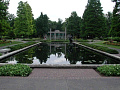 Tropical Water Lilies in Milles Sculpture Garden